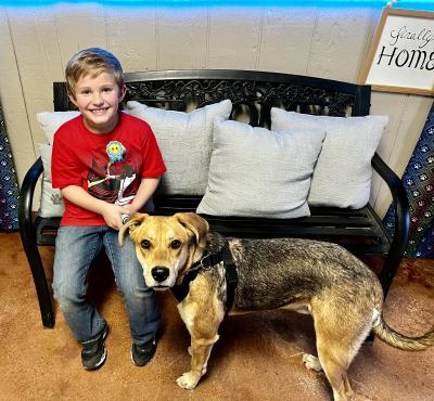 Child sitting on a bench with a dog on a leash